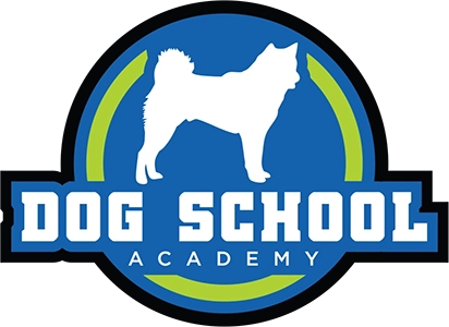 Dog School Academy